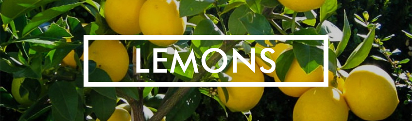 Lemon Details