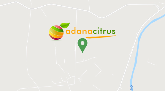 Adana Citrus