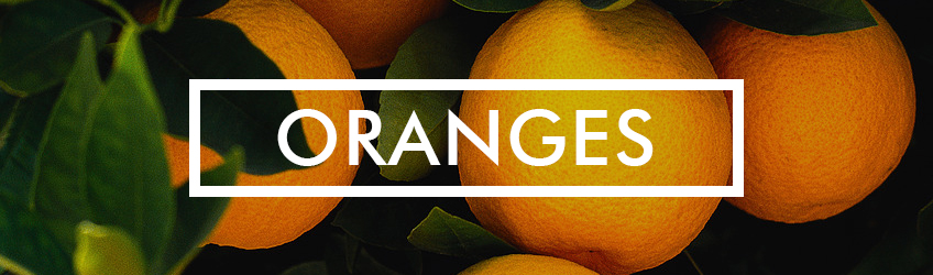 Orange Details